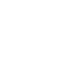 Logo Nazionale